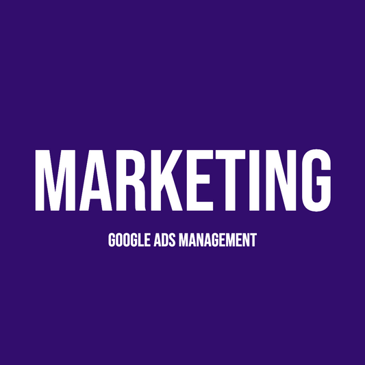 Google Ad Campaign Management
