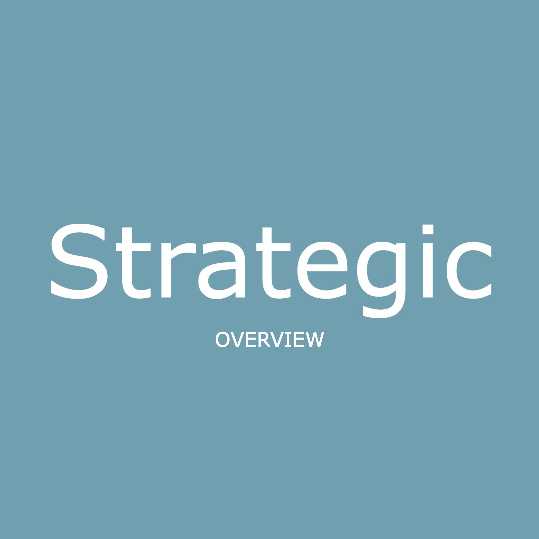 Strategic Overview